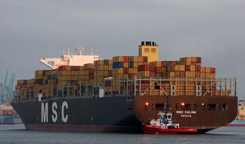 MSC KALINA Container Ship IMO 9399026