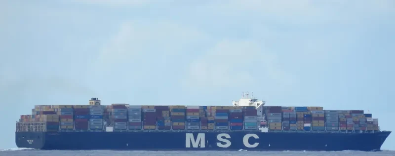 MSC KALINA Container Ship IMO 9399026 photo 10