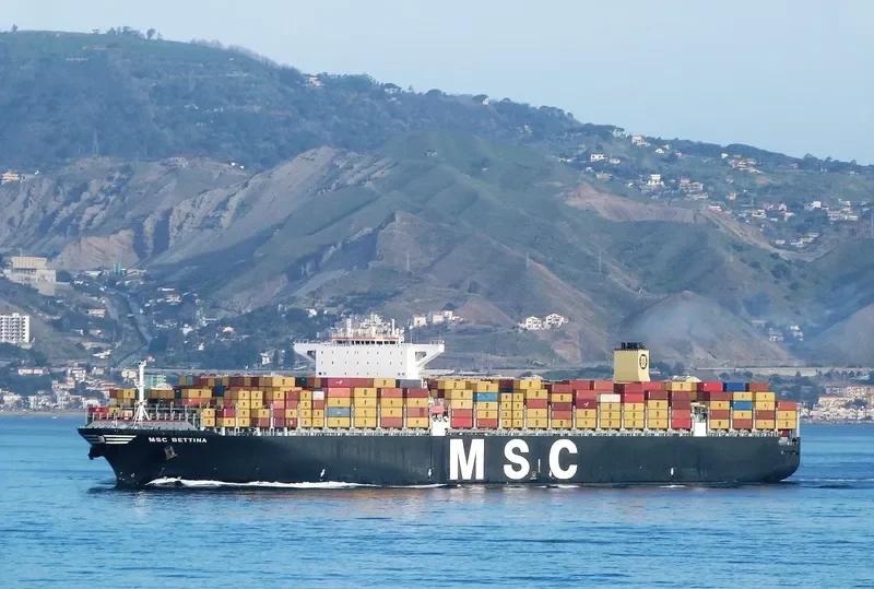 MSC BETTINA Container Ship IMO 9399038 photo 2