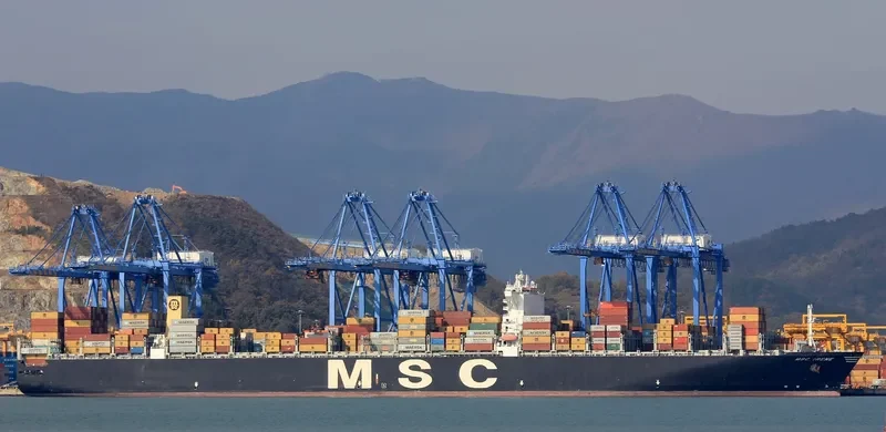 MSC IRENE Container Ship IMO 9399040