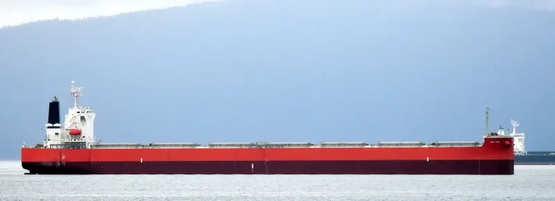RU MENG LING Bulk Carrier IMO 9399088