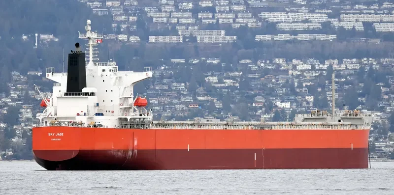 RU MENG LING Bulk Carrier IMO 9399088 photo 2