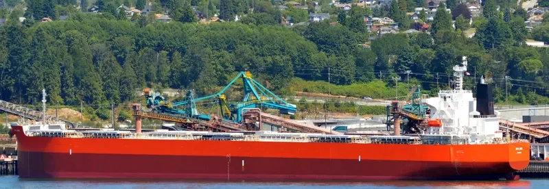 RU MENG LING Bulk Carrier IMO 9399088 photo 5