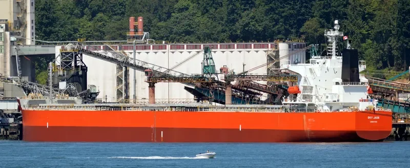 RU MENG LING Bulk Carrier IMO 9399088 photo 6