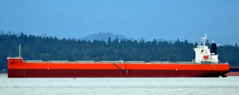 RU MENG LING Bulk Carrier IMO 9399088 photo 8