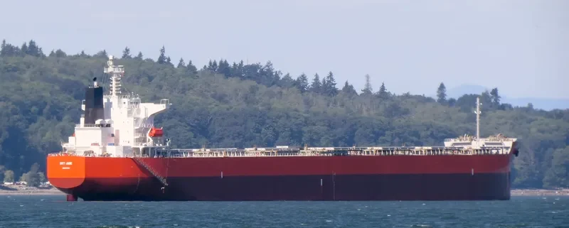 RU MENG LING Bulk Carrier IMO 9399088 photo 10