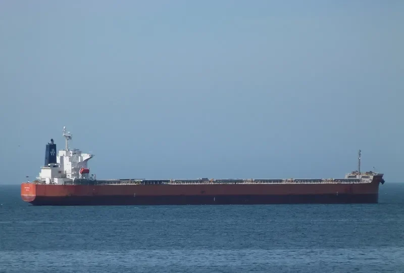 DUKE Bulk Carrier IMO 9399090 photo 3