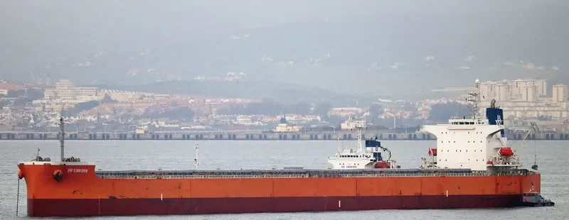 DUKE Bulk Carrier IMO 9399090 photo 4
