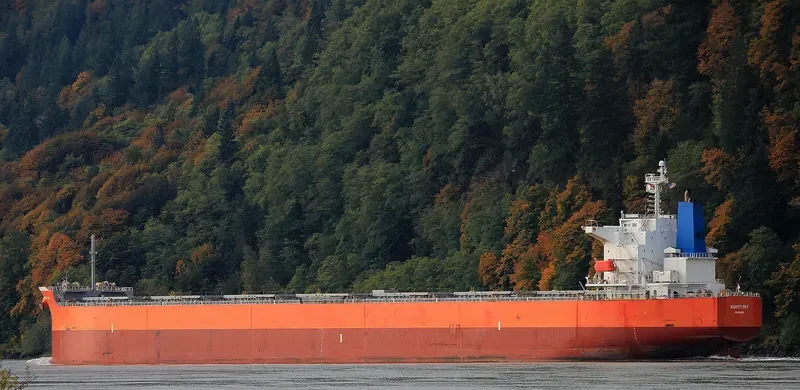 DUKE Bulk Carrier IMO 9399090 photo 5