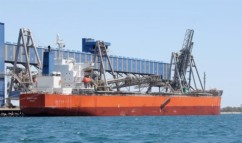 DUKE Bulk Carrier IMO 9399090 photo 7