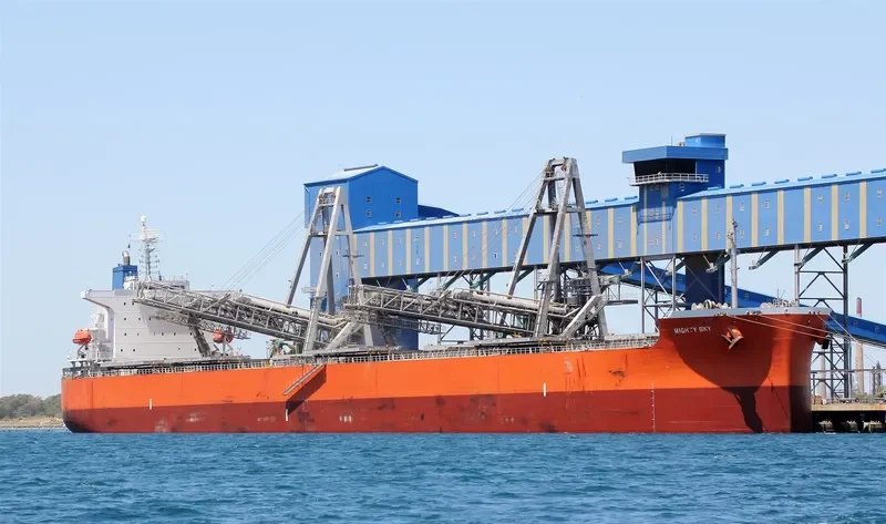 DUKE Bulk Carrier IMO 9399090 photo 8