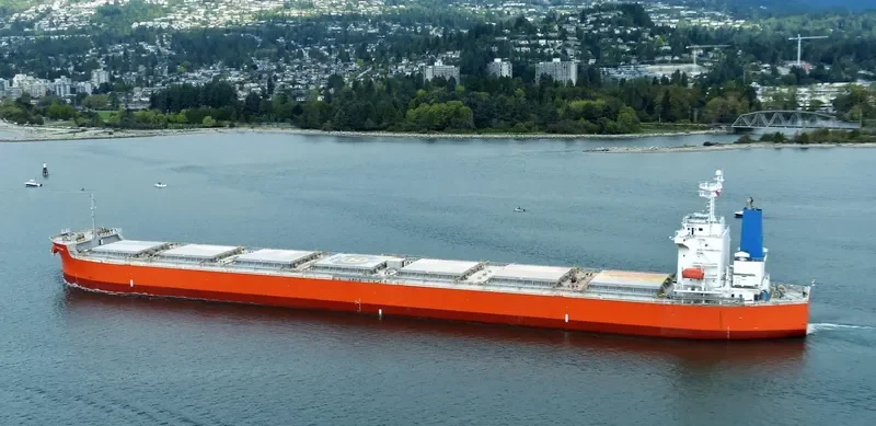 DUKE Bulk Carrier IMO 9399090 photo 10