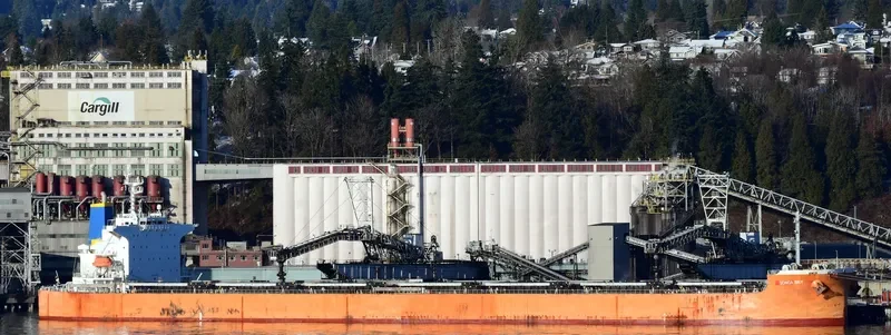 STAR SKY Bulk Carrier IMO 9399105