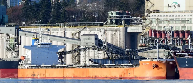 STAR SKY Bulk Carrier IMO 9399105 photo 2