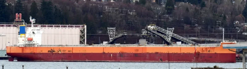 STAR SKY Bulk Carrier IMO 9399105 photo 3