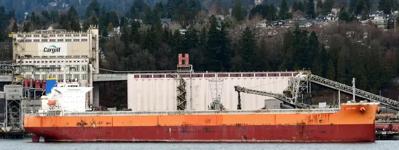 STAR SKY Bulk Carrier IMO 9399105 photo 4
