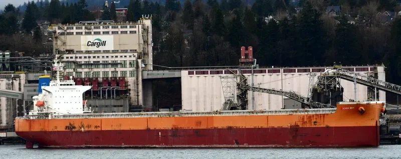 STAR SKY Bulk Carrier IMO 9399105 photo 5