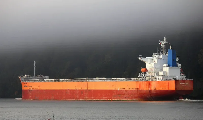STAR SKY Bulk Carrier IMO 9399105 photo 6