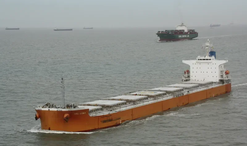 STAR SKY Bulk Carrier IMO 9399105 photo 7