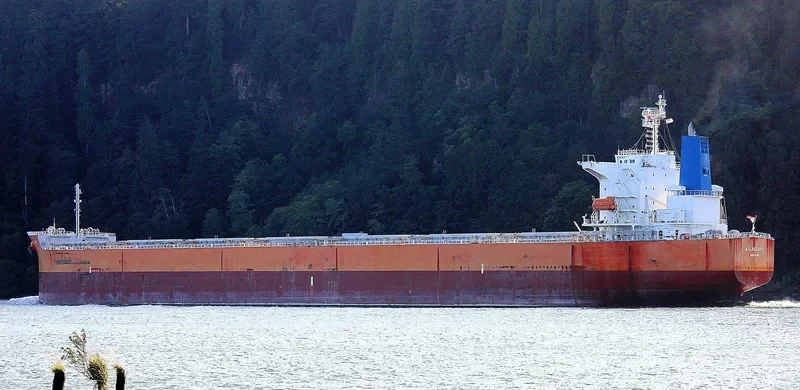 STAR SKY Bulk Carrier IMO 9399105 photo 8