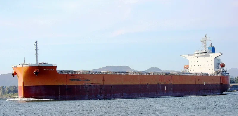 STAR SKY Bulk Carrier IMO 9399105 photo 9