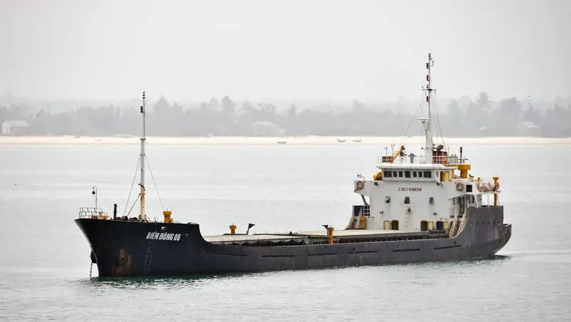 BIEN DONG 06 General Cargo IMO 9399258