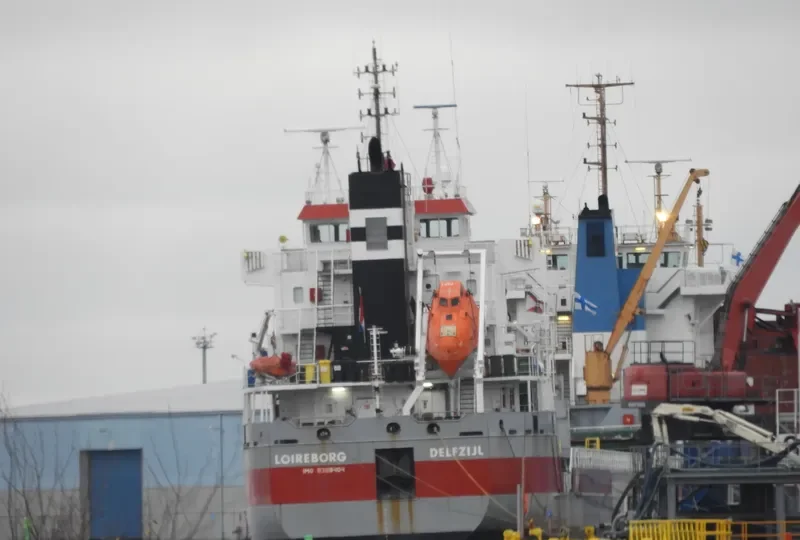 LOIREBORG General Cargo IMO 9399404