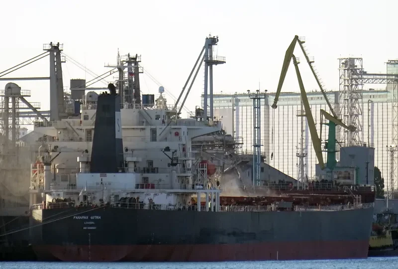PANAMAX OSTRIA Bulk Carrier IMO 9399557 photo 8