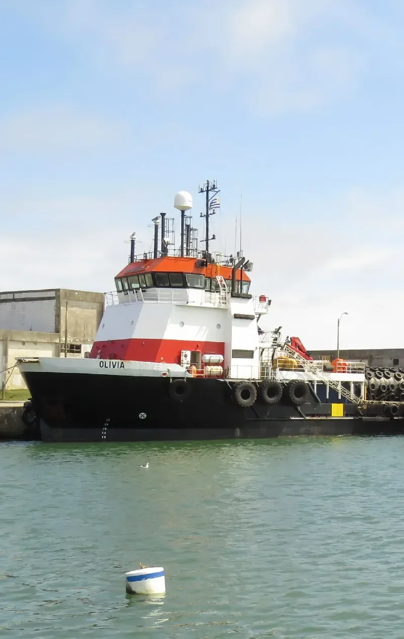 OLIVIA Offshore Vessel IMO 9399595 photo 4