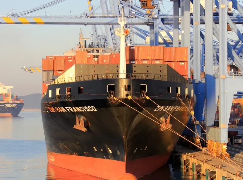 PINOCCHIO Container Ship IMO 9400112 photo 3
