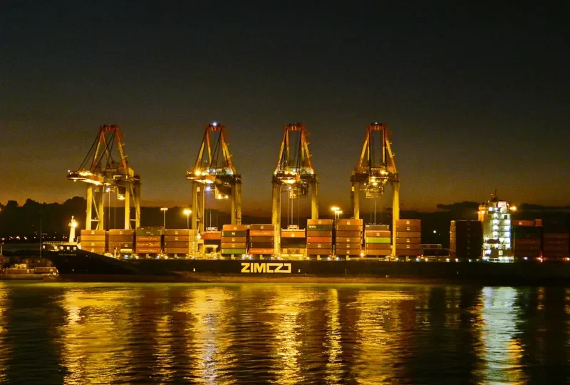 OEL BADRINATH Container Ship IMO 9400136 photo 3