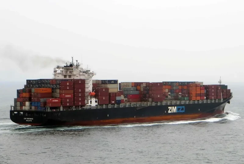 OEL BADRINATH Container Ship IMO 9400136 photo 4