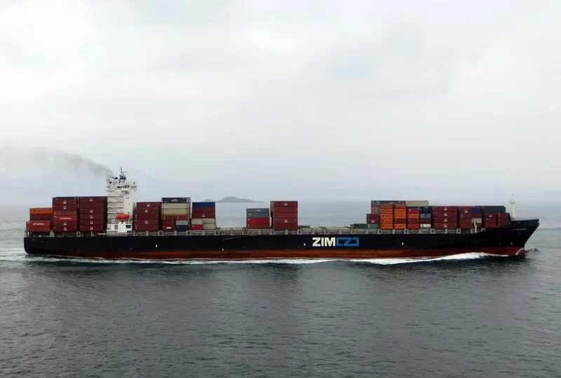 OEL BADRINATH Container Ship IMO 9400136 photo 5