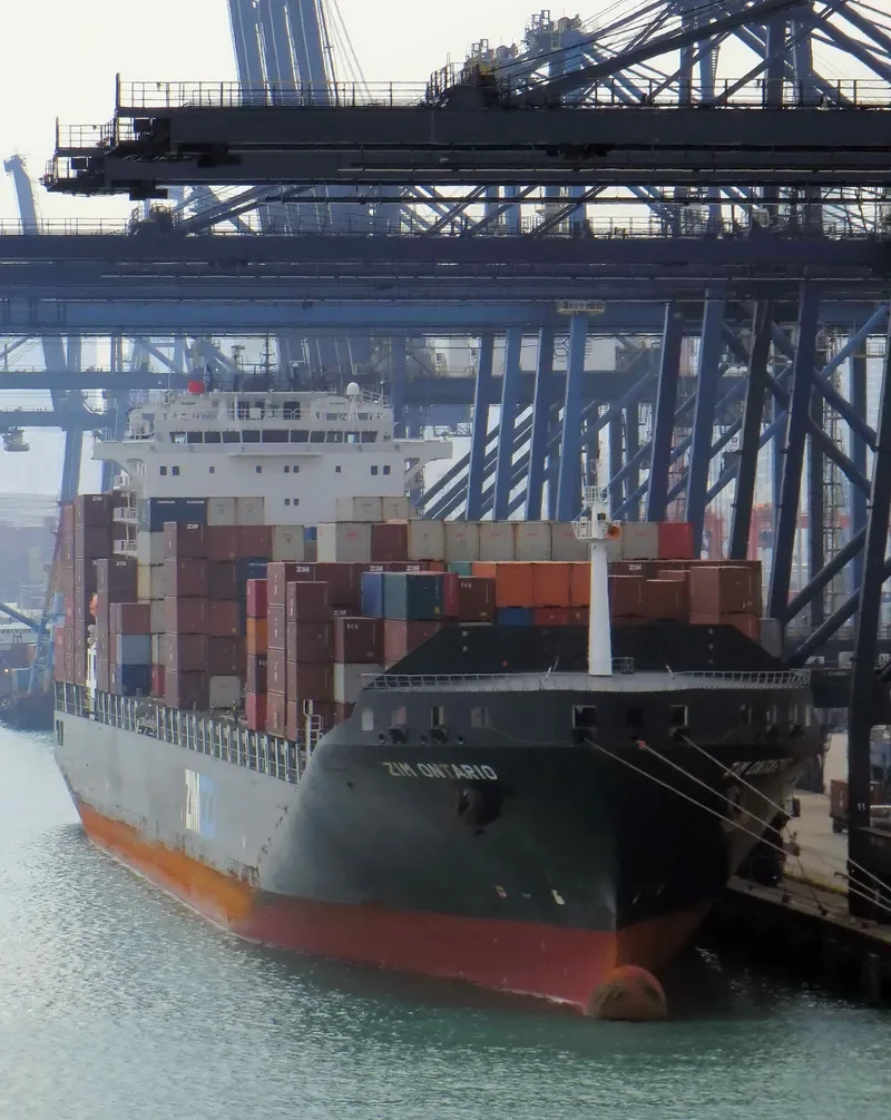 OEL BADRINATH Container Ship IMO 9400136 photo 8