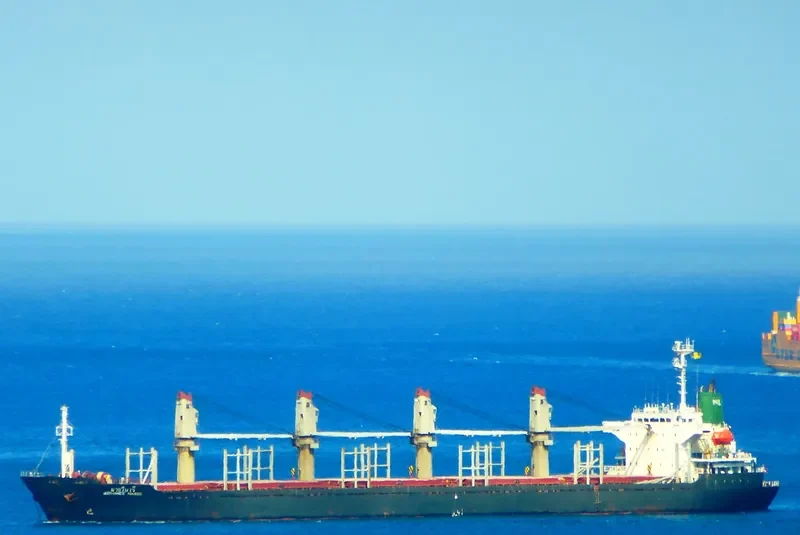 AL SALMY 2 General Cargo IMO 9400239 photo 2