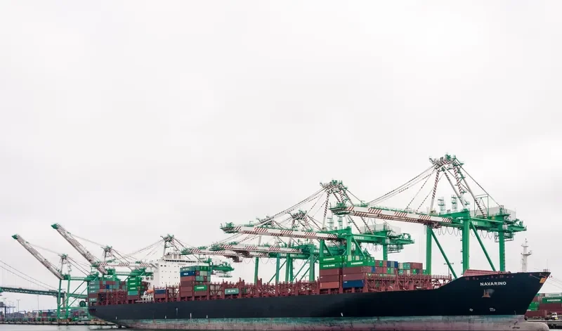 NAVARINO Container Ship IMO 9400289 photo 2