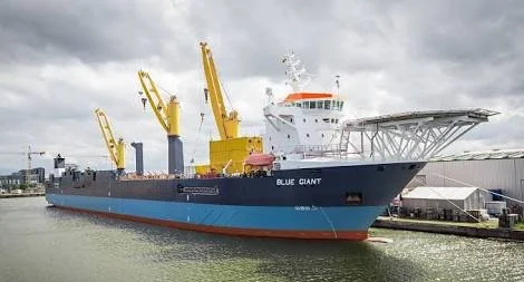 BLUE GIANT General Cargo IMO 9400485