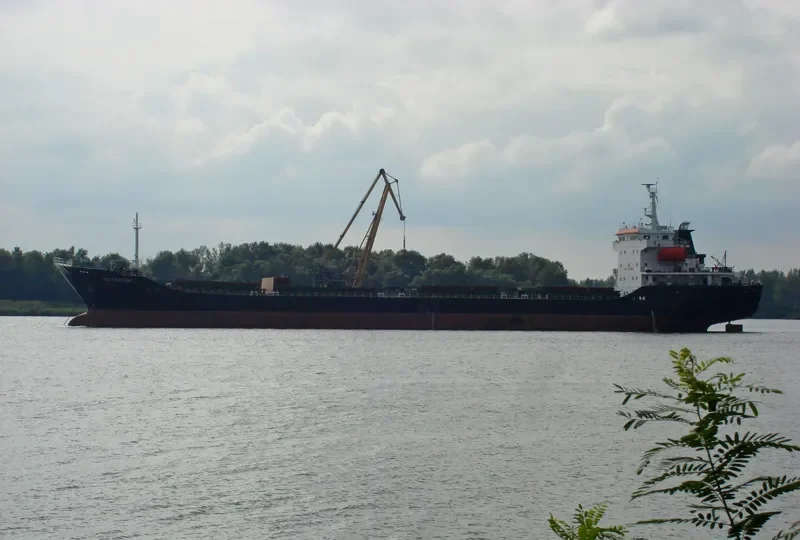 THOE Bulk Carrier IMO 9400588