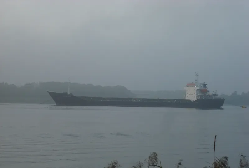 THOE Bulk Carrier IMO 9400588 photo 2