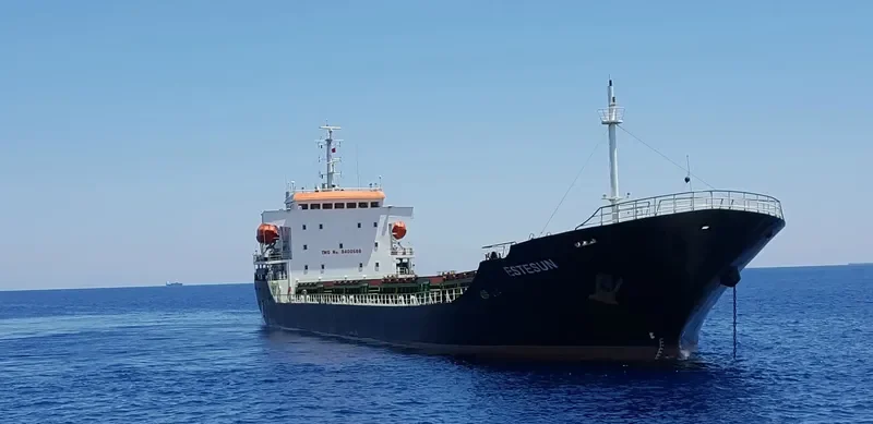 THOE Bulk Carrier IMO 9400588 photo 3