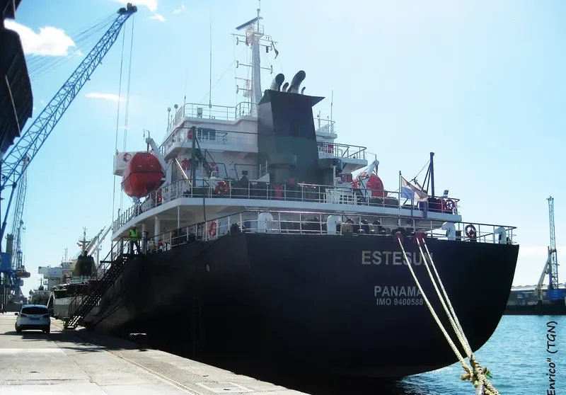 THOE Bulk Carrier IMO 9400588 photo 4