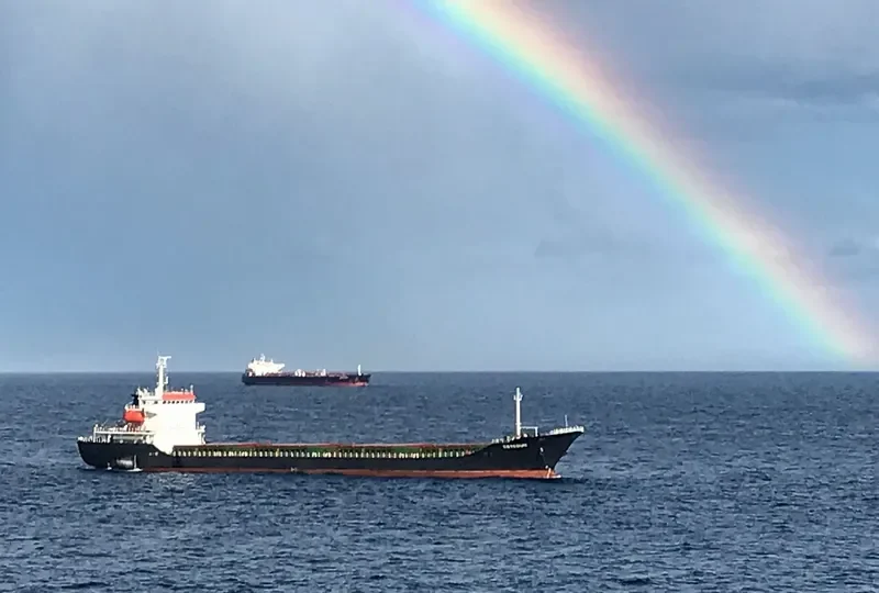 THOE Bulk Carrier IMO 9400588 photo 5