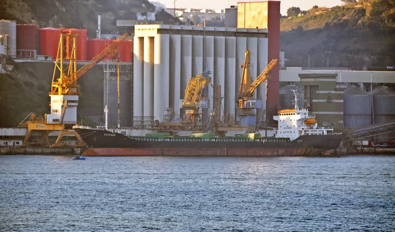 THOE Bulk Carrier IMO 9400588 photo 6