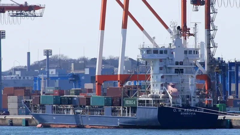 MAX MARINER Container Ship IMO 9400590 photo 5