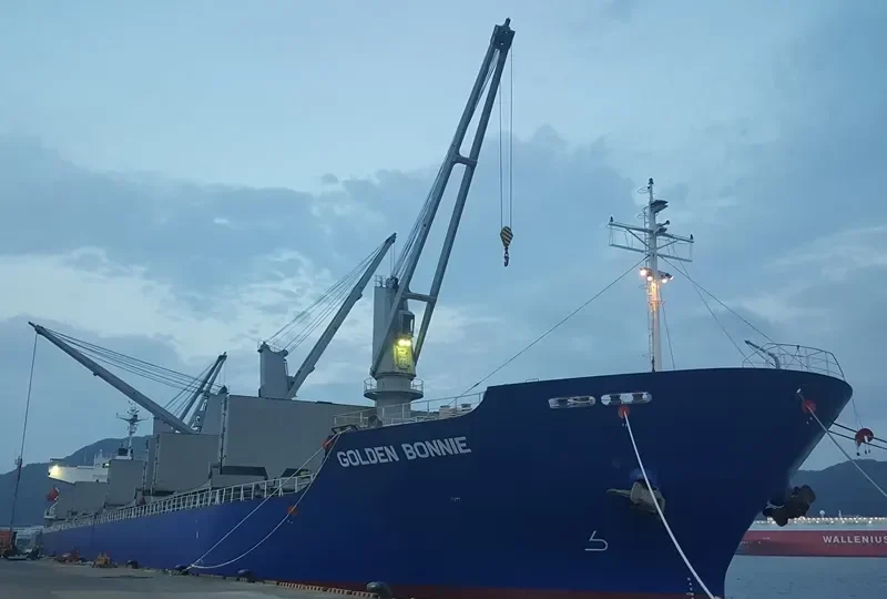 GOLDEN BONNIE General Cargo IMO 9400875