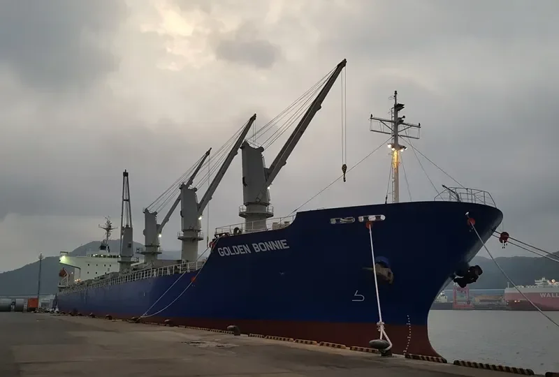 GOLDEN BONNIE General Cargo IMO 9400875 photo 2