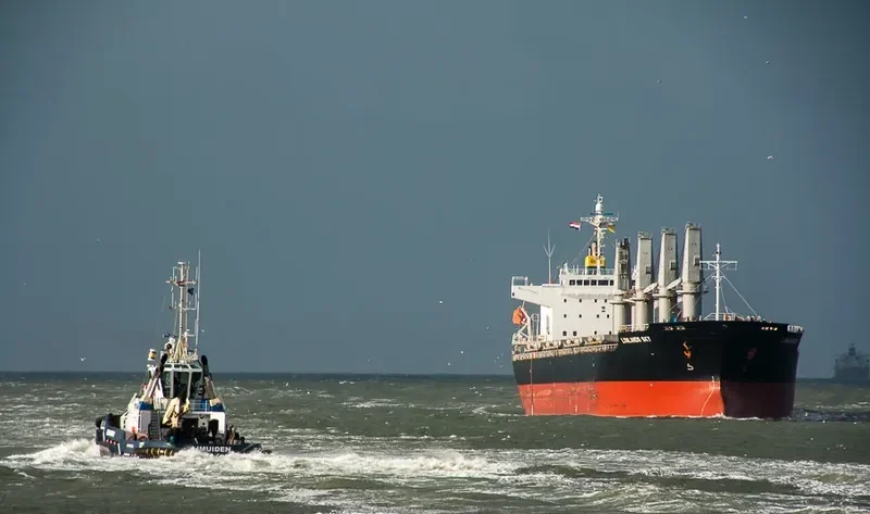 GOLDEN BONNIE General Cargo IMO 9400875 photo 4