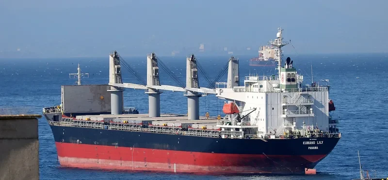 BALD EAGLE General Cargo IMO 9400904