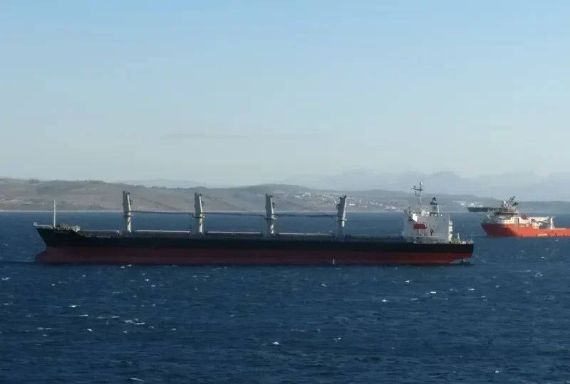 BALD EAGLE General Cargo IMO 9400904 photo 2