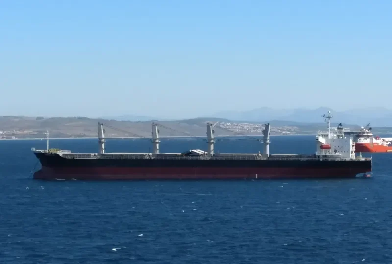 BALD EAGLE General Cargo IMO 9400904 photo 4